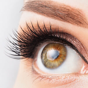 Perfect lashes beauty training course